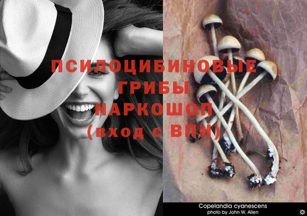 кокаин Коряжма