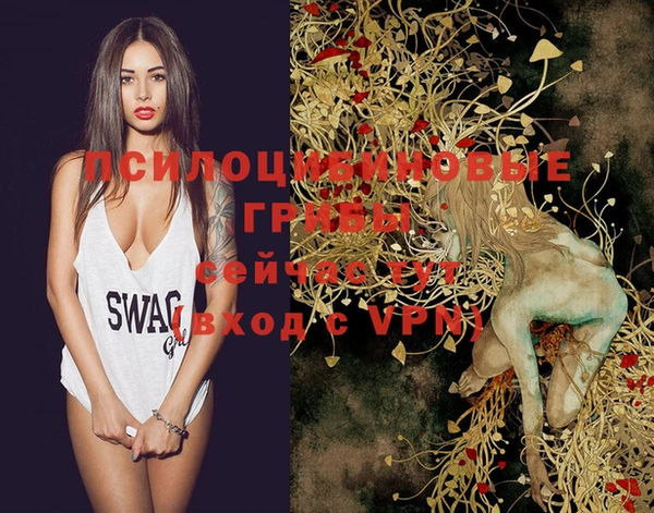 дживик Корсаков