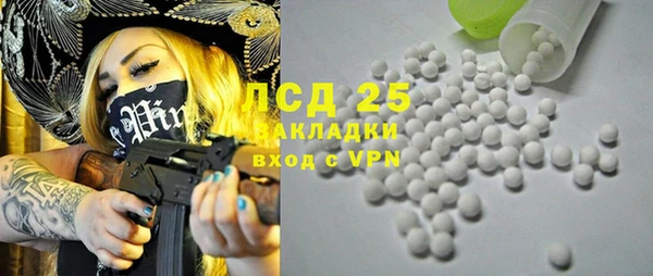 дживик Корсаков